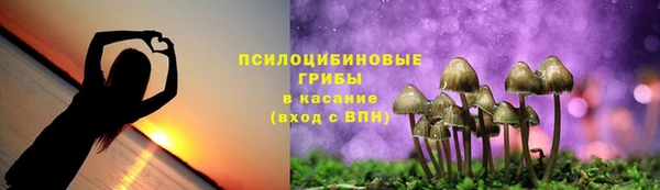 мескалин Верхний Тагил