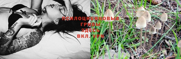 мескалин Верхний Тагил